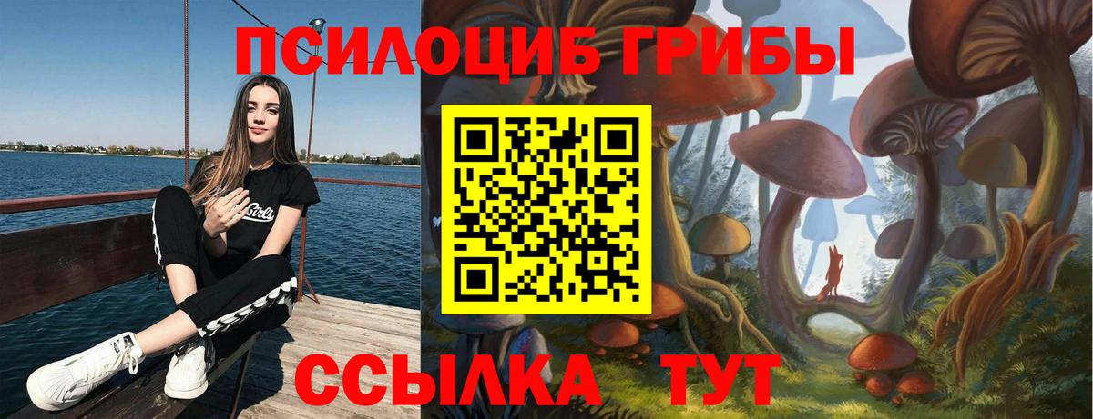 Галлюциногенные грибы MAGIC MUSHROOMS Дивногорск